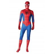 Spiderman Costume